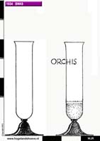 34-4 vase orchis