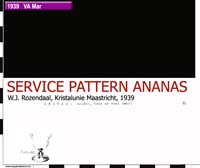 39-1 service pattern ananas